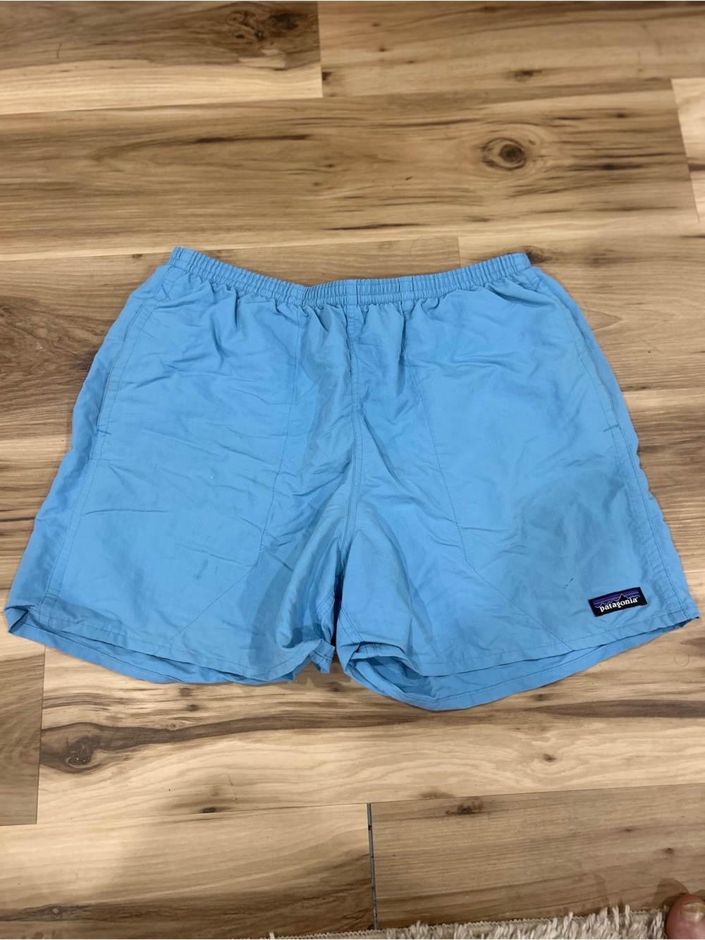 Patagonia baggies Sky Blue Shorts